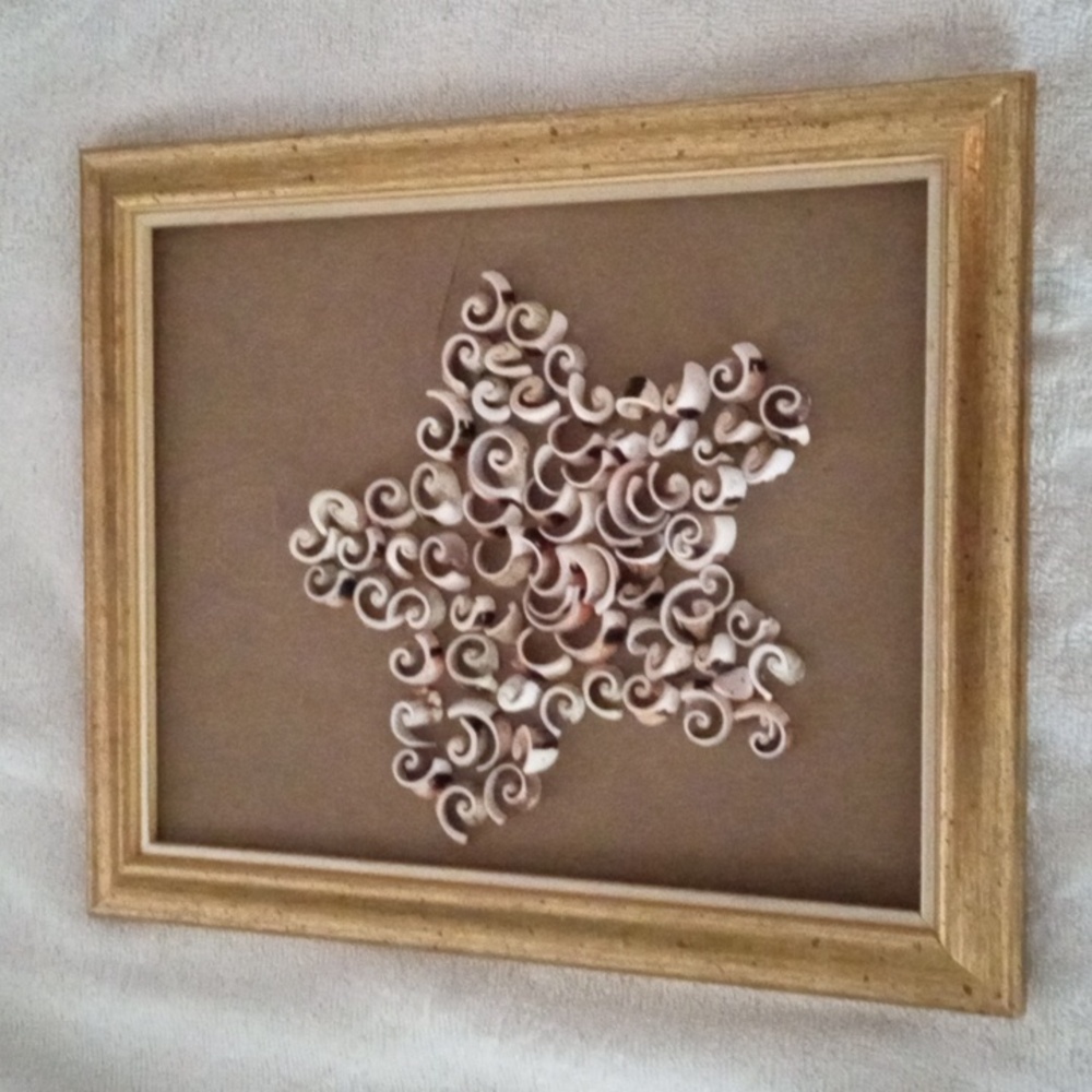 ✨ Handmade Shell Starfish